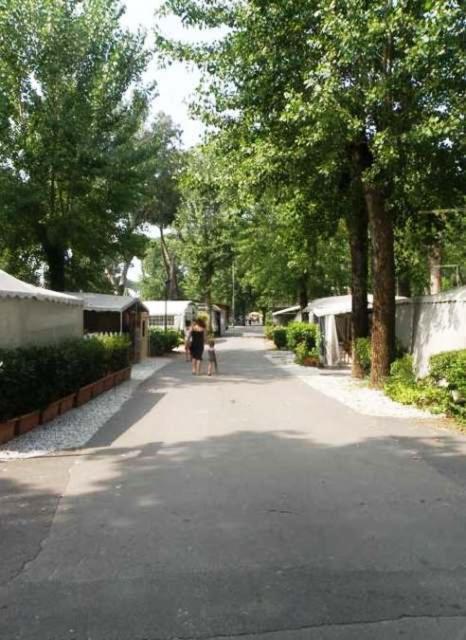 Campeggio Italia Marina di Massa Bagian luar foto